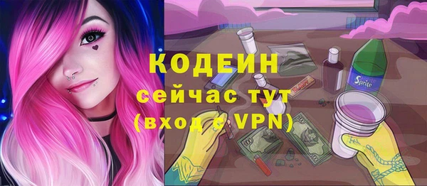 ГАЛЛЮЦИНОГЕННЫЕ ГРИБЫ Корсаков
