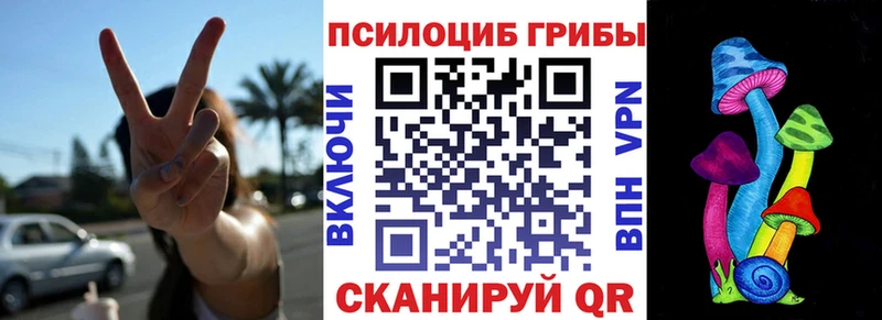 наркошоп  Курильск  Галлюциногенные грибы Psilocybe 